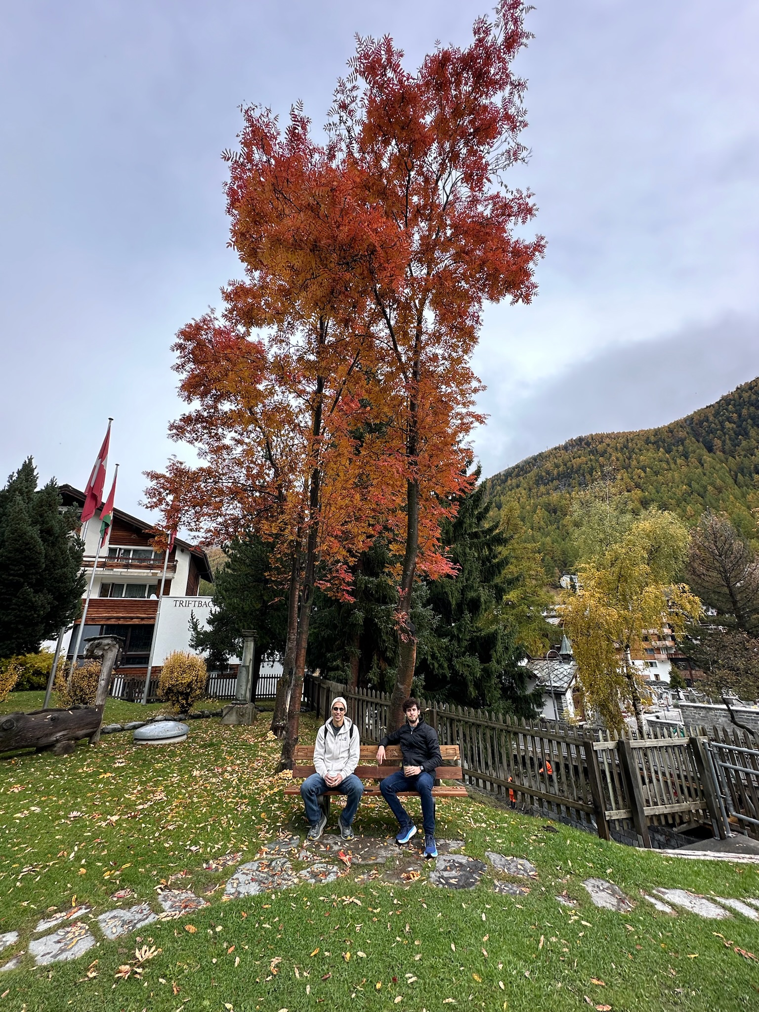 Baron & Grantham relaxing at park in Zermatt